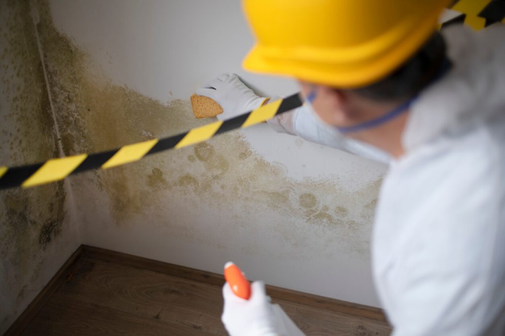 challenges faced in residential mold remediation